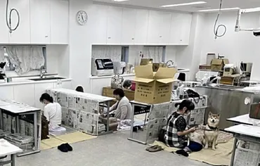 ペットと災害：命を守るために私たちができることとは？ペットと避難：地域マップと事前の準備