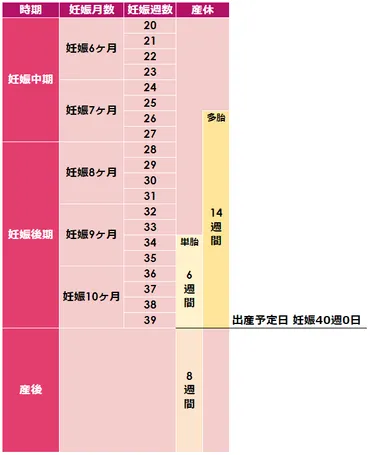 産休はいつからとれる？産休中にやっておいたほうがいいこととは！ 