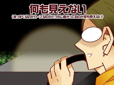 高速道路の夜間運転は怖い？コミックエッセイスト御手洗直子の恐怖体験と安全運転への提言？20年ぶりの高速道路運転、恐怖と安全運転への意識