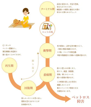 ペットロスの乗り越え方。症状や克服方法についてペットロス専門カウンセラーが解説 