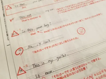 進研ゼミ中学講座の赤ペン先生ってなに？ 利用方法、添削課題の提出方法や赤ペン先生のメリット・デメリットなど詳しく解説