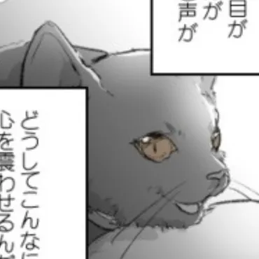 猫を通して折り合いが悪かった母との思い出が蘇る…言葉を超えた゛関係の修復 ゛と心に残る余韻を描いた漫画【作者に聞く】（Walkerplus）