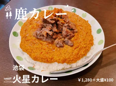 池袋の火星カレーで絶品の鹿カレーを味わう