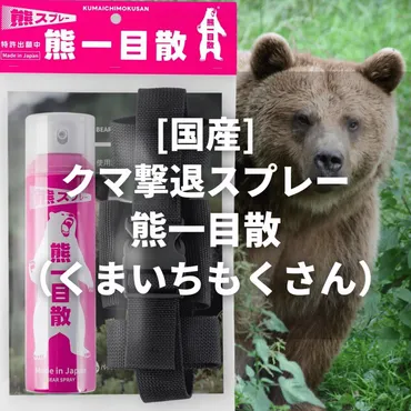 2025年】熊に遭遇した時の対処法