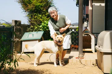 大家族石田さんチ゛のお母さんが、番組でありのまま全てをさらけ出し続けた理由とは? – STORY ストーリィ オフィシャルサイト