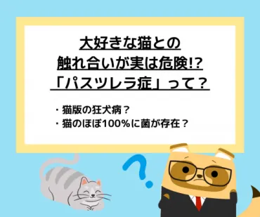 猫のキスは危険？正しい知識で感染症を予防猫のキスがアレルギーを引き起こす'?