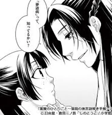 薬屋のひとりごと壬氏は猫猫が好きなのか?小説版と漫画両方の視点から考察