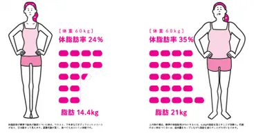 155cm、50kgの体型ってどんな体型？ダイエットはカロリーバランスが大事って本当!?
