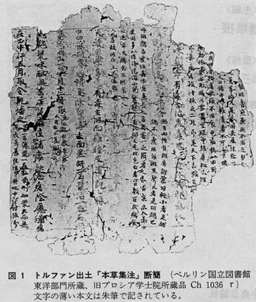 「薬屋のひとりごと」原作誕生の秘密とは？中国最古の薬物学書が関係してるってホント!?