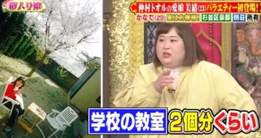 かなでの実家事情？豪邸育ちって本当！お嬢様ライフとは？