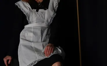 できるメイド様】あらすじネタバレ解説!1年以上休載中だけど再開する?