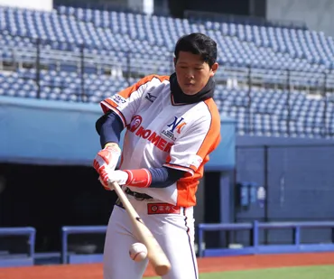 BCL】桑田が信濃移籍 塚田は引退 新潟アルビレックスBC