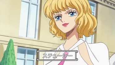 ステューシー(ONE PIECE)とは【徹底解説・考察まとめ】