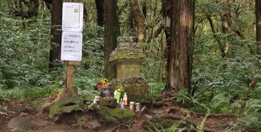 豊臣秀頼は本当に死んだのか？鹿児島での余生と国松生存説豊臣秀頼の最期、まさかの鹿児島！
