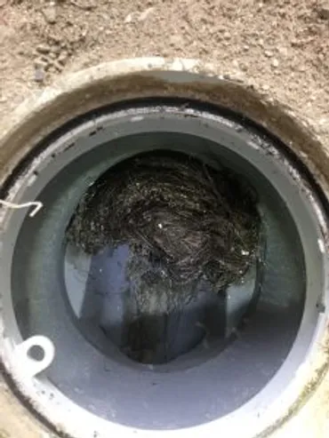 恐るべし!髪の毛によるお風呂の排水つまり