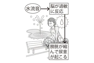 入浴中におしっこしたくなる】原因と対策を泌尿器科専門医が解説。シャワーを控えよう