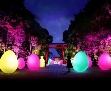 チームラボ、『下鴨神社 糺の森の光の祭 Art by teamLab』を今年も開催 京都の世界遺産を光のアート空間に