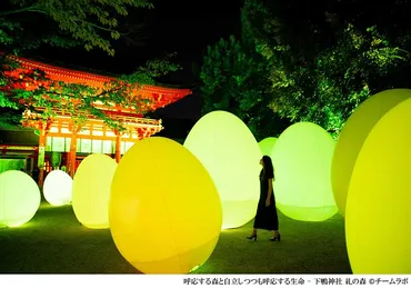 下鴨神社で、チームラボの夜限定アート » Lmaga.jp