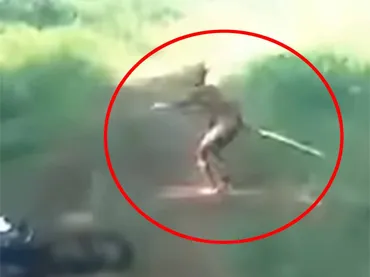 インドネシアで目撃される「小柄な人々」の謎… 現生人類とは異なる゛ホモ・フローレシエンシス゛か(2023年2月24日)