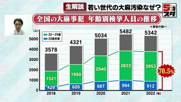若者の大麻汚染 検挙者全体の7割が20代以下、SNSで売人と接触 「孤独の解消や居場所作りが課題」