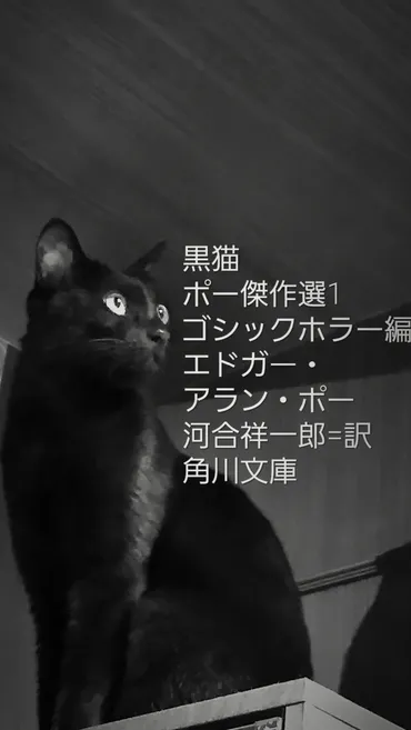 エドガー・アラン・ポーの黒猫を読んだ。ポーの世界観は私のお気に入りになりました。