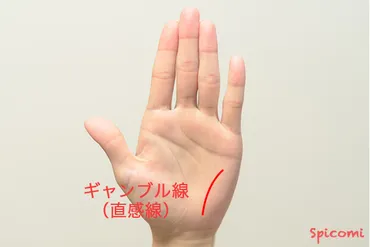 手相】ギャンブルで勝てる最強の金運の手相!ギャンブル線 9選