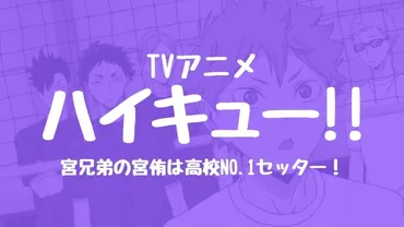 ハイキューの稲荷崎高校の宮兄弟の宮侑は高校No.1セッター!声優は宮野真守!?