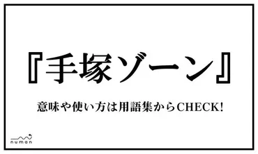 手塚ゾーン(てづかぞーん)