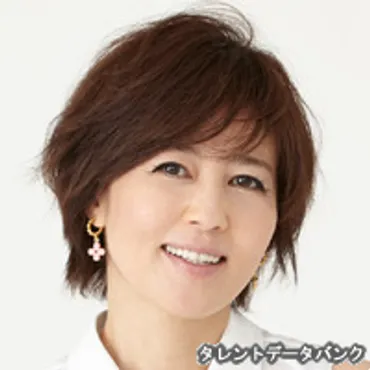 石野真子はどんな人? わかりやすく解説 Weblio辞書