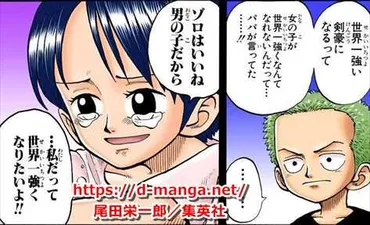ワンピース】くいなとは結局何者なのか?【ゾロの幼馴染】【たしぎと同一人物説】【光月一族】