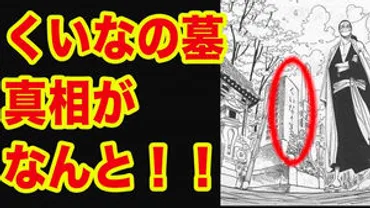 ONE PIECE】革命軍の剣士だった?くいなの正体考察まとめ!【ワンピース】