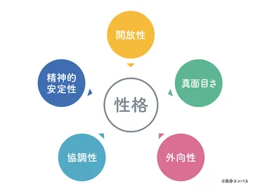 性格を表すビッグ・ファイブとは?ビッグ・ファイブを構成する特性5因子について解説