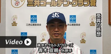 武相高校野球部、インフィールドフライ騒動は誤審だった！？10年越しの告白とは！？
