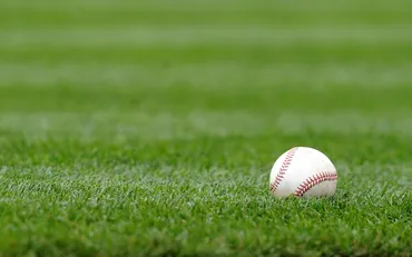 日本学生野球協会、高校13件処分 調査拒否の盛岡誠桜は校長兼部長が憲章違反行為で謹慎処分