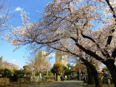 東京の心霊スポットってなに？ご存じですか〜！