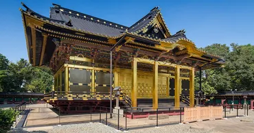 見どころ