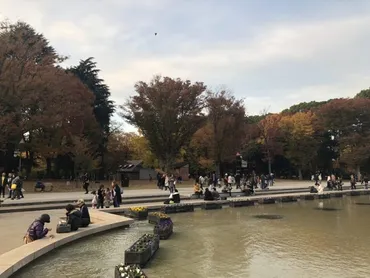 上野公園、秋葉原・和泉公園、人形町・浜町公園の芝生広場