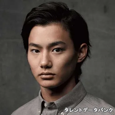 実はハーフ・クオーターと聞いて驚く男性有名人ランキング