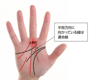 手相にみる！運命線占い？知れば後悔なし？運命線のある人生