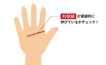 手相占い」大串ノリコ先生監修!好きな人との相性、勉強運、適職など、気になることを占おう!【高校生なう】