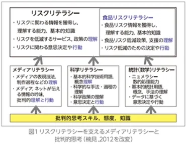 メディアリテラシーが低いとどうなるの？危険なの？リスクに関する情報が理解できない！？