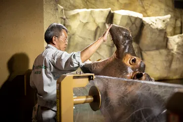 世の中は、動物園から変えられる -旭山動物園 坂東園長の「はたらく」。その覚悟と挑戦