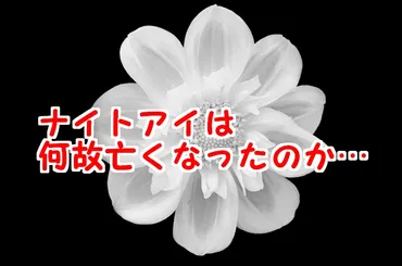 ヒロアカナイトアイの正体考察!個性や死亡の原因・無能説も解説
