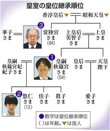 皇位継承議論、先送りへ 4月以降に 政府、国会決議とずれ:東京新聞 TOKYO Web