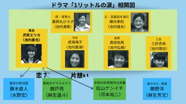 ドラマ「1リットルの涙」を配信中の動画サイト