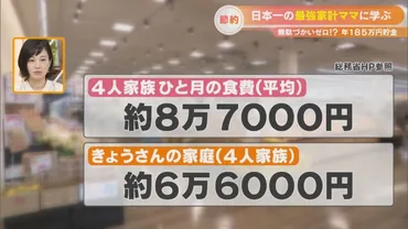 年収500万でも185万円貯金⁉ 日本一の最強家計ママに学ぶ 無駄づかいゼロテクニック