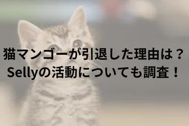 猫マンゴーが引退した理由は?Sellyの活動についても調査!