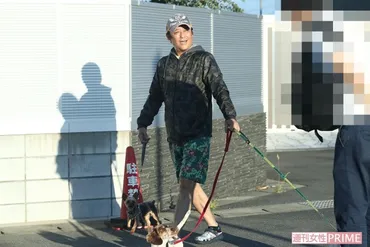 坂上忍『志村どうぶつ園』で引き取った義足犬サンタが行方不明に(週刊女性PRIME)