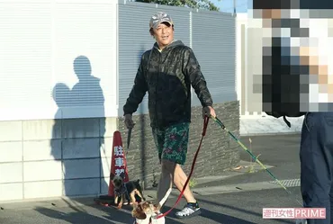 坂上忍『志村どうぶつ園』から引き取った義足犬サンタが酷暑のなか行方不明に