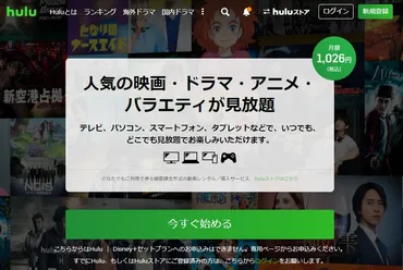 消せない「私」―復讐の連鎖―【全話】の見逃し配信と再放送 NetflixやAmazonプライムで全話無料視聴できる?